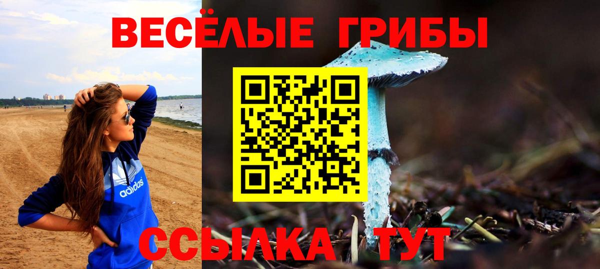 Галлюциногенные грибы ЛСД  Галлюциногенные грибы мухоморы  Вход с VPN  Кудрово 